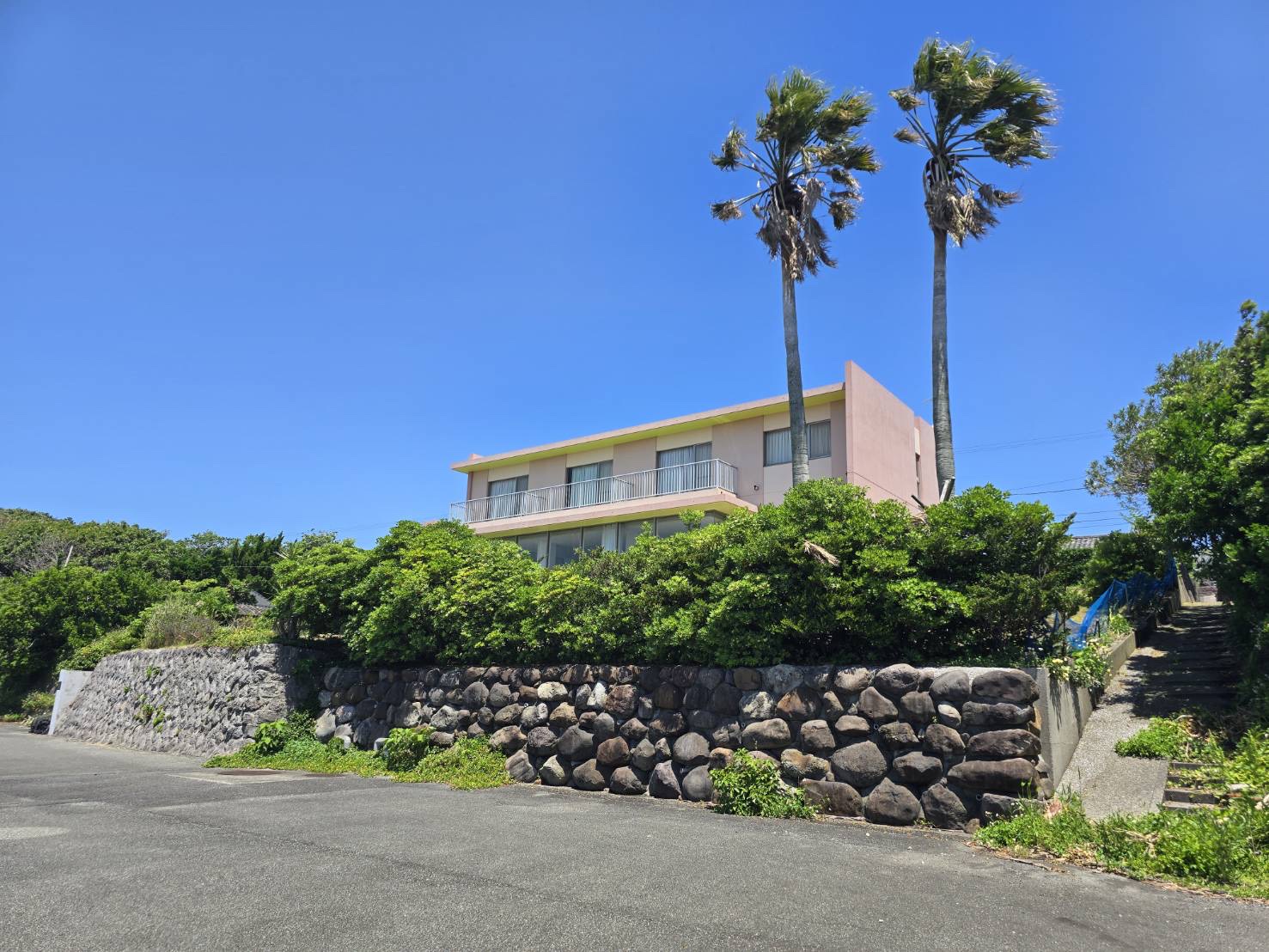 オーシャンビュー開聞岳